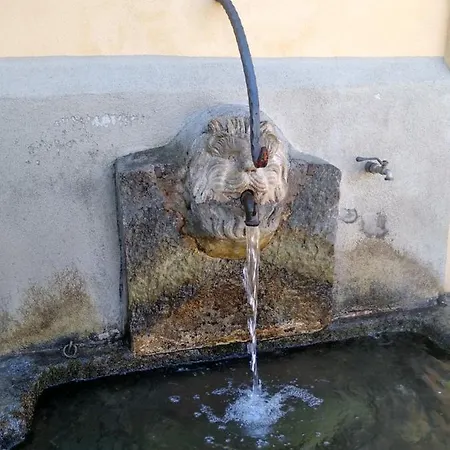 Nido Di Rongio Nyaraló *