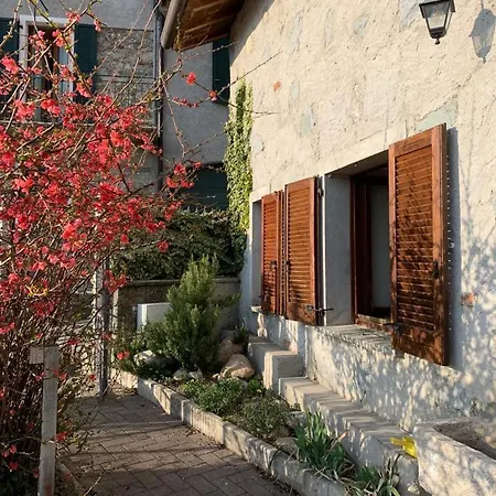 Nido Di Rongio